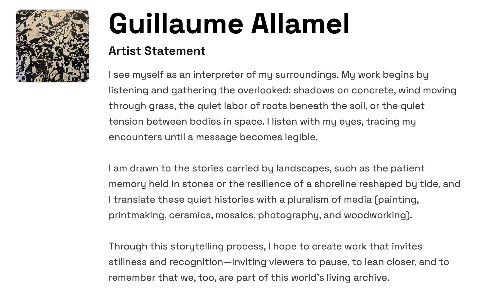 Observational artist statement example