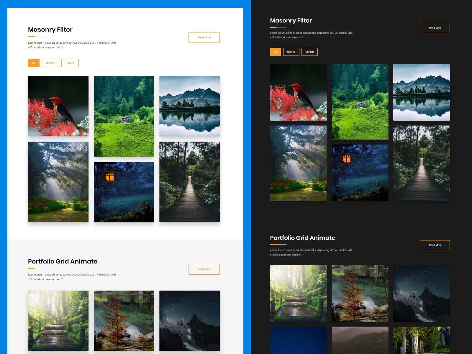 Hohor Portfolio Gallery