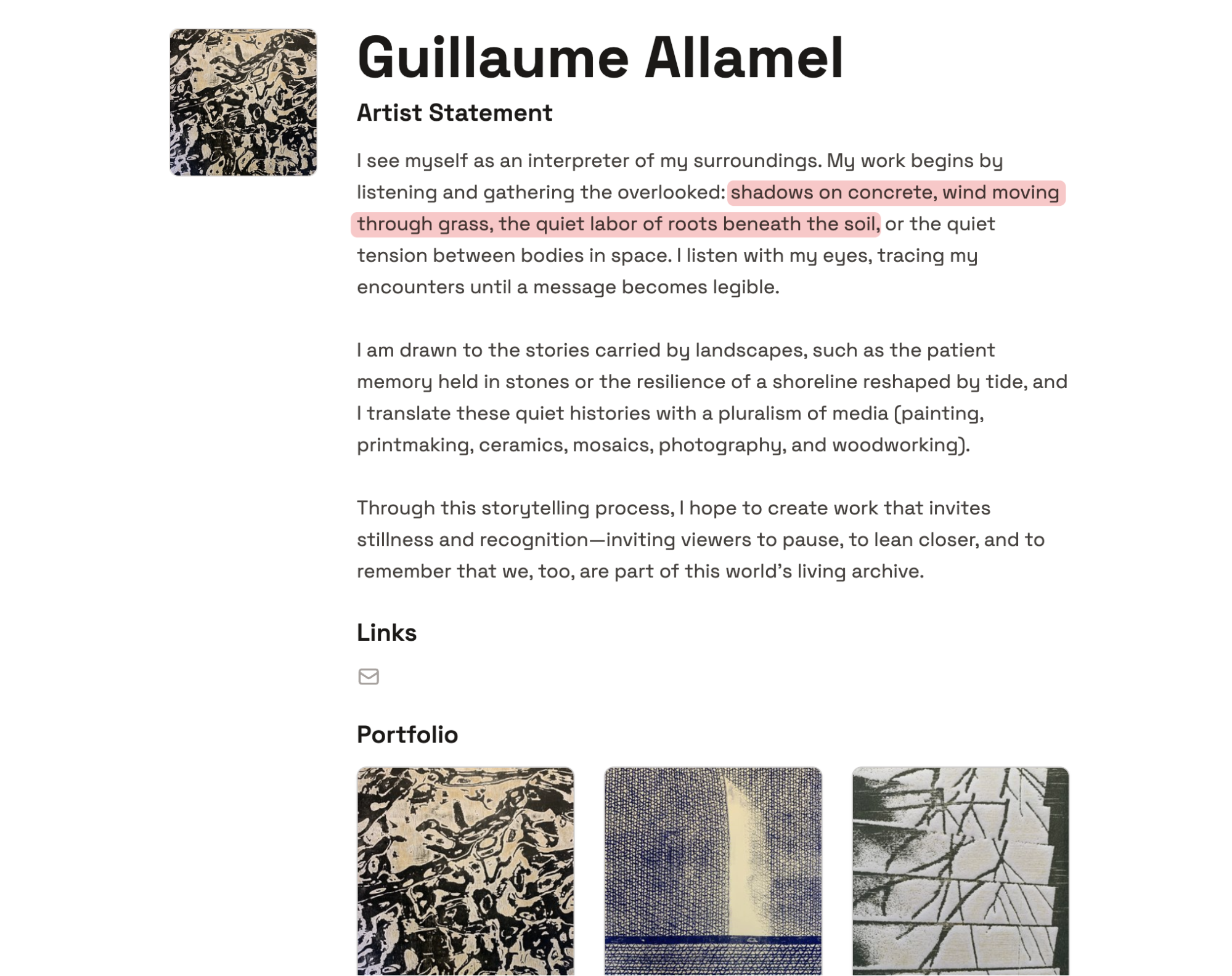 Guillaume Allamel artist statement example