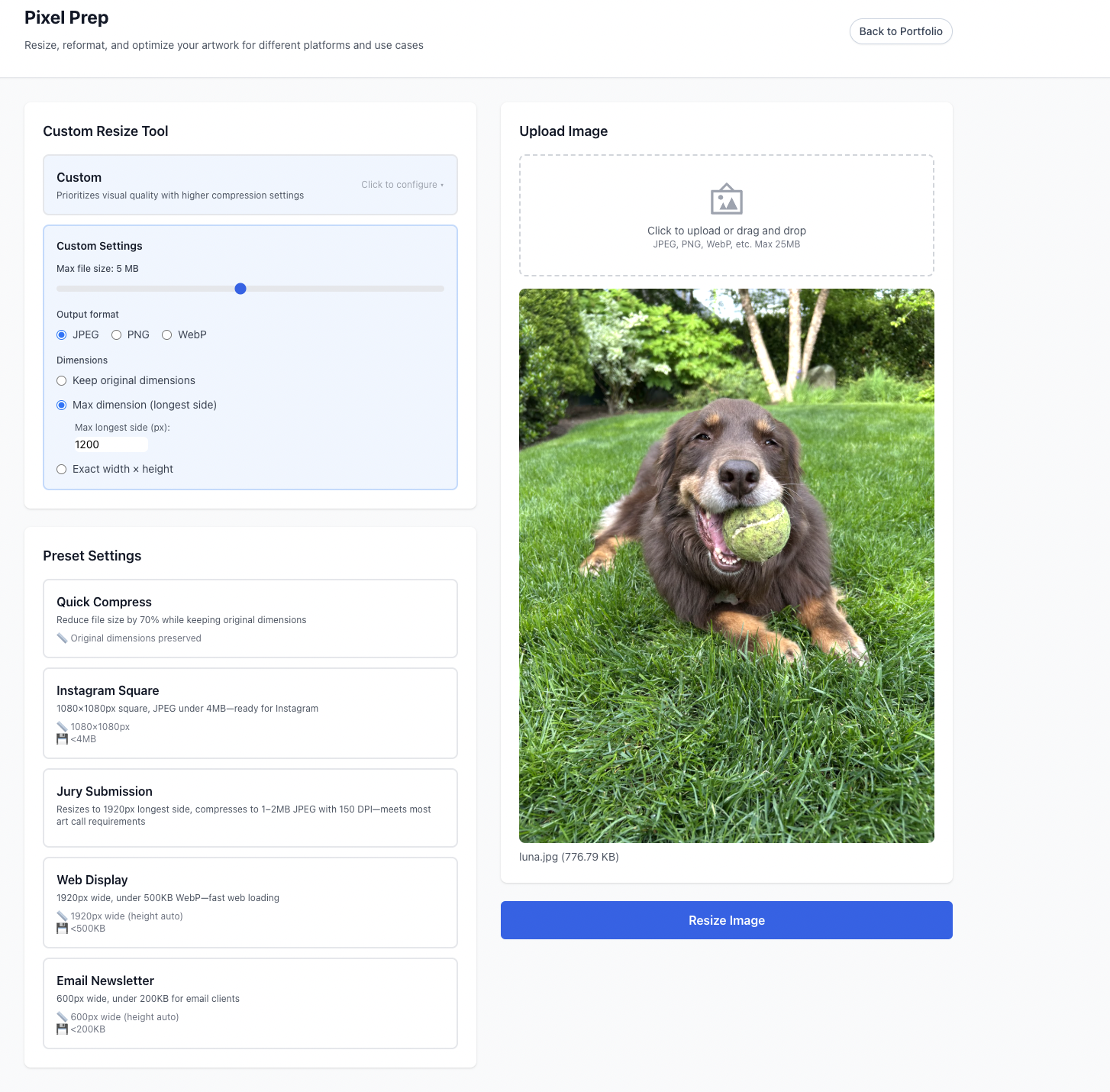 Pixel Prep tool showing Instagram preset